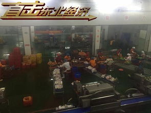 直擊東北經(jīng)濟(jì) 吉林延邊多舉措助力綠色崛起